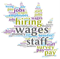 Colorado wage survey