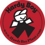 Hardy Boy Plant